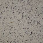 Granito-Dallas-White