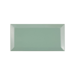 Ceramico-Brick-Architecture-Duck-Egg-10×20-cm