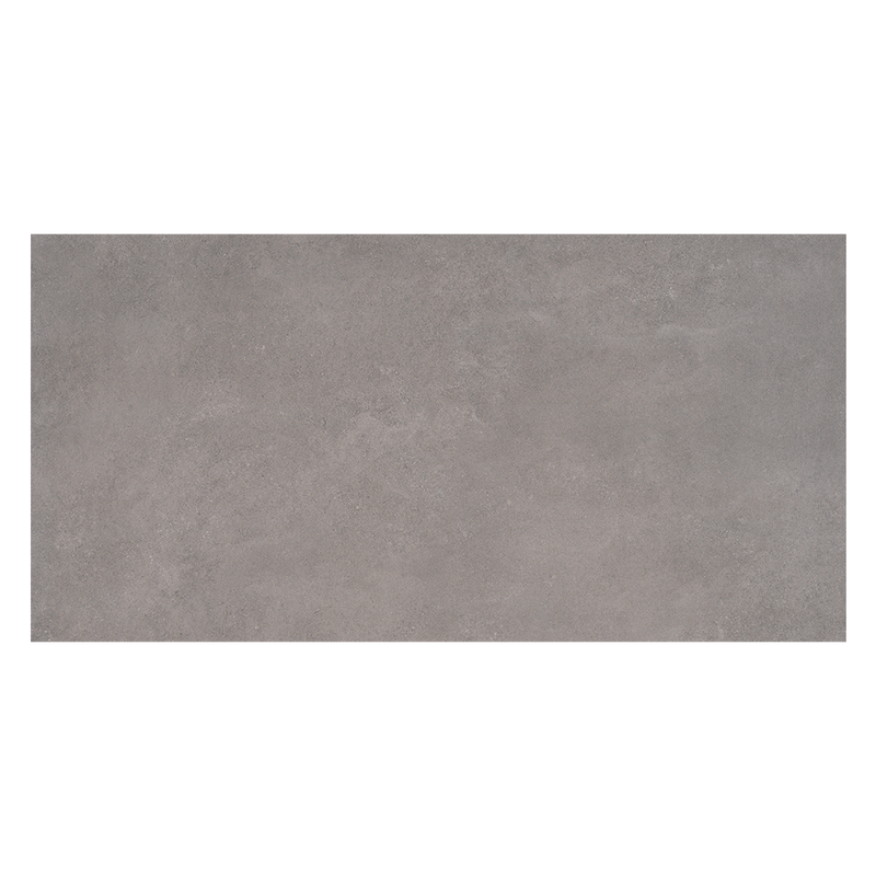 IMAN-SILVER-R-60X120-P2