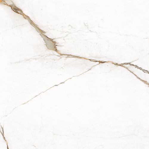 Porcelanato Unique Marble Paonazzetto Lappato R 120x278 cm