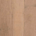 ARBOR-CANEL-AC-194X1182-P1