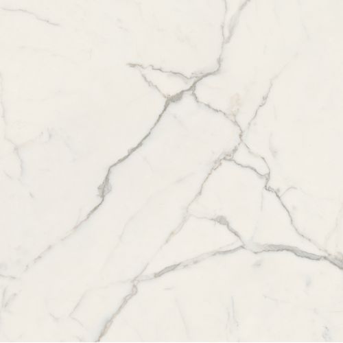 Porcelanato Anima Futura Majestic White Luc 60x120 cm RT