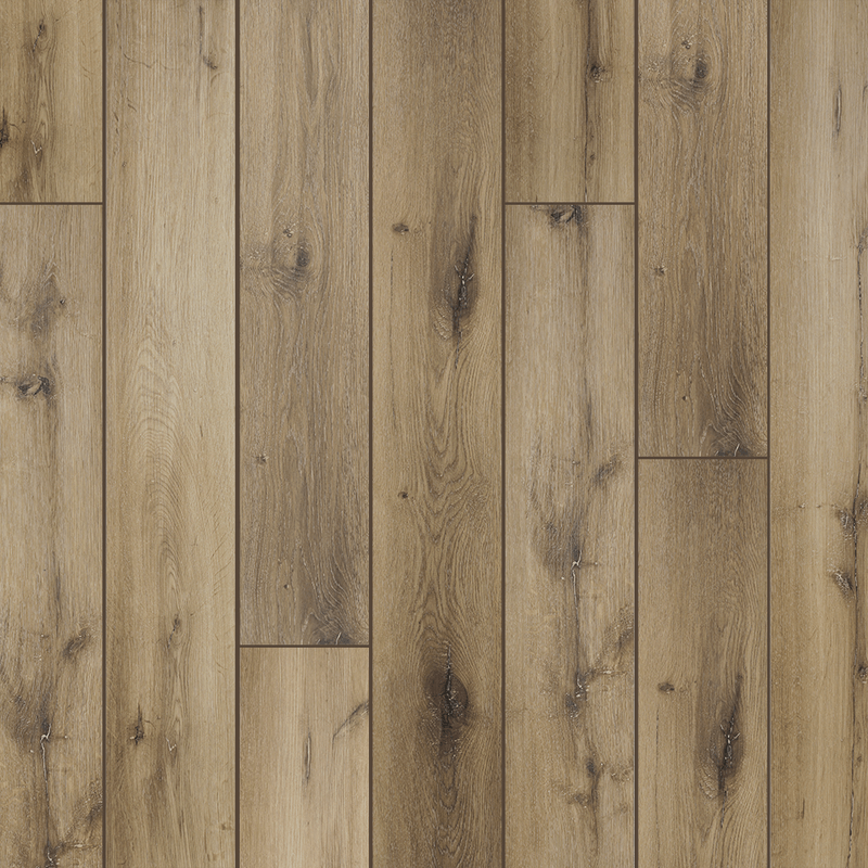 FOREST-NO-5-5-I-4V-P1