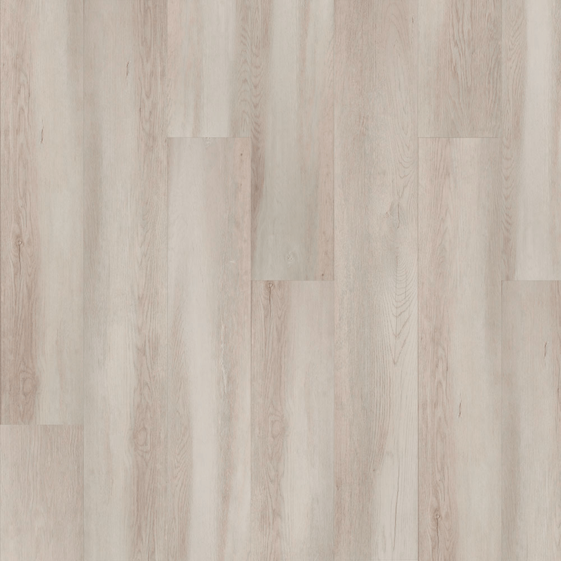 FOREST-GR-5-5-I-4V-P1