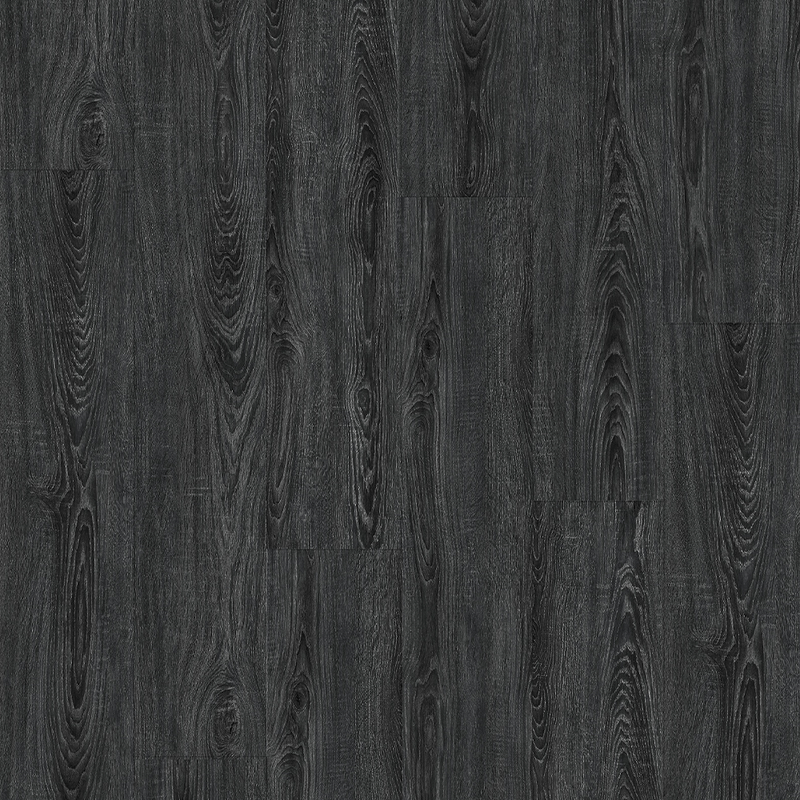 FOREST-NE-5-5-I-4V-P1