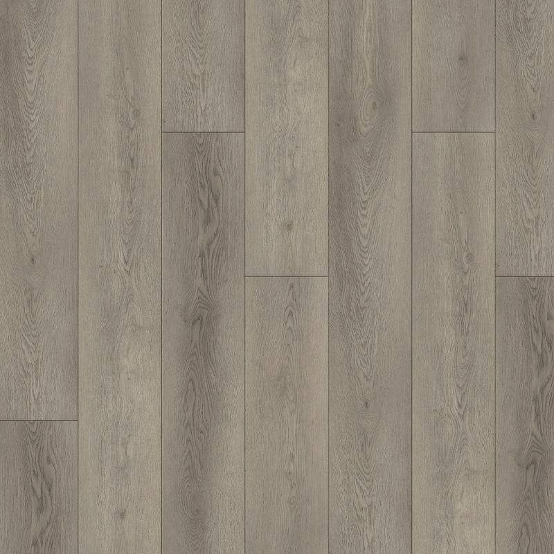 FOREST-TA-5-5-I-4V-P1