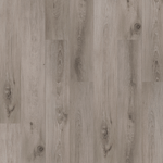 FOREST-UR-5-5-I-4V-P1
