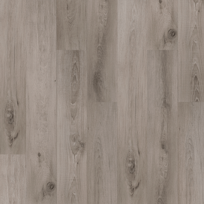 FOREST-UR-5-5-I-4V-P1