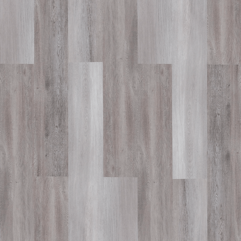 FOREST-CI-5-5-I-4V.-P1