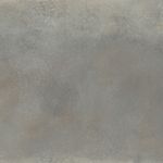 1006598-P1