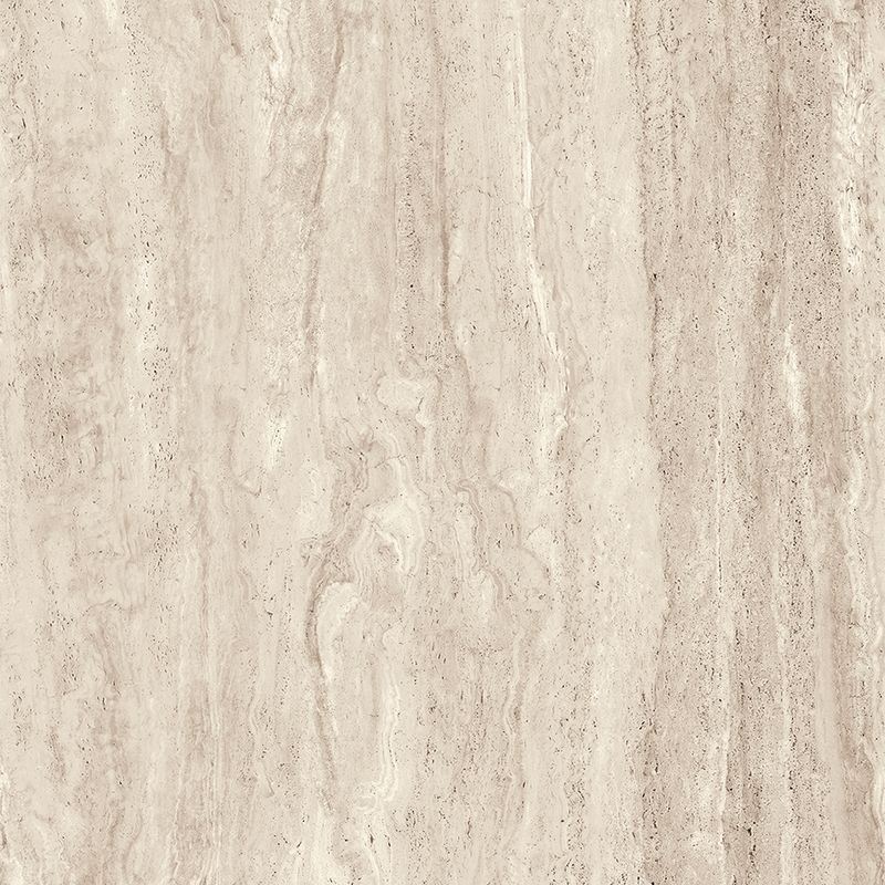 ROT019-P1