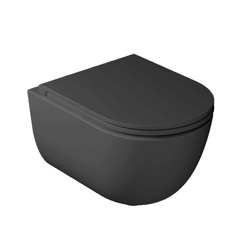 WC-DREAM-NEMT-P1