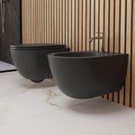 WC-DREAM-NEMT-A1