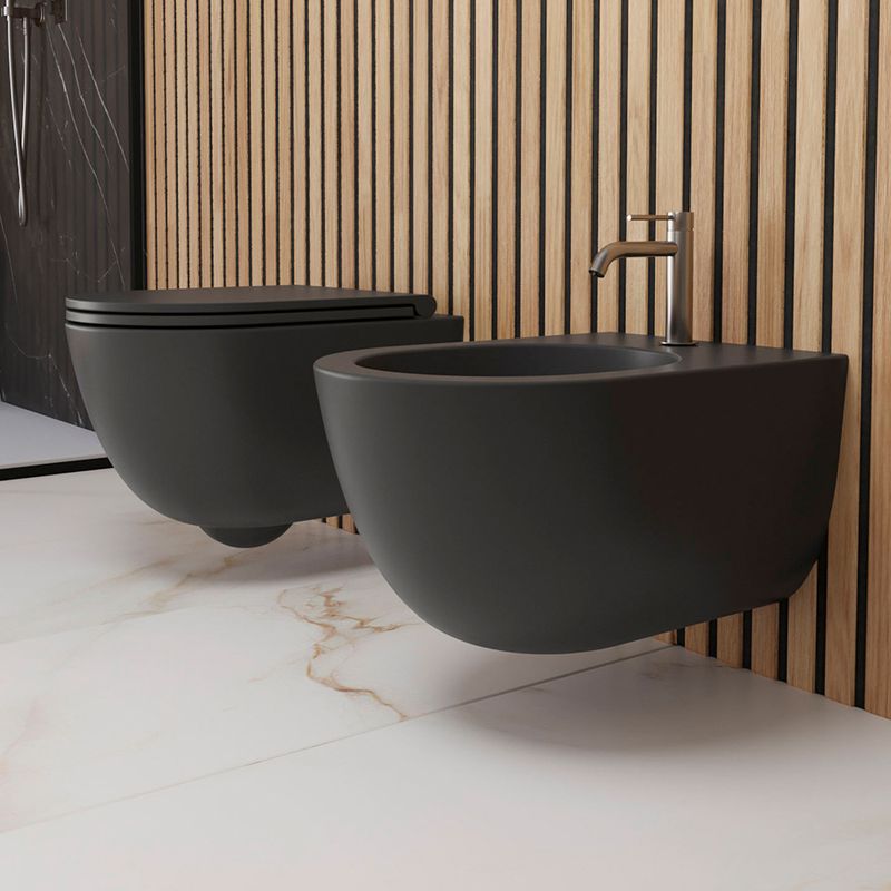 WC-DREAM-NEMT-A1