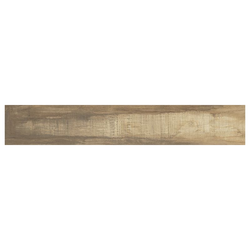 BG0CY101-P6