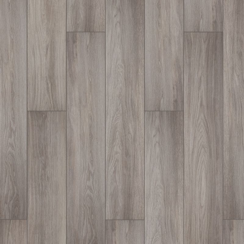 TASSO-CHIARO-25X150-P1