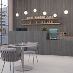 FILETTO-SLATE-MA-45X120-A1