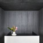FILETTO-SLATE-MA-45X120-A2