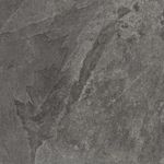 1006730-P1