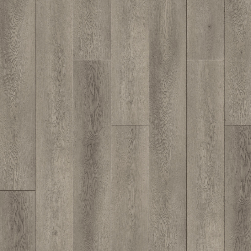 FOREST-TA-5-5-I-4V-P1